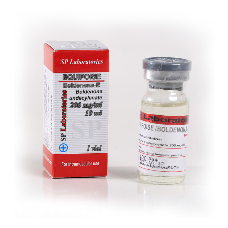 SP Equipoise