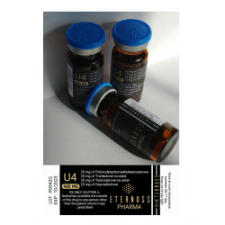 U4 (The Ultimate Pre-workout)