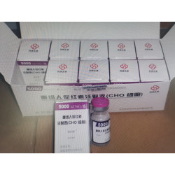 EPO (Erythropoietin)
