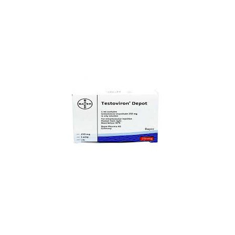 Bayer Testosterone Enanthate | Testoviron Depot 250 Bayer Schering