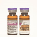 Pentadex | Sustanon 300 For Sale | Testosterone Blend for Injection