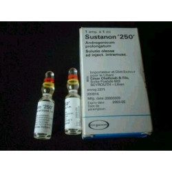 Sustanon 250