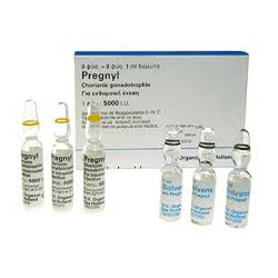 Prengyl HCG - 5000IU