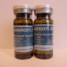 Nandroxyl 250