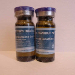 Testoxyl | Testosterone Enanthate 250 By Kalpa