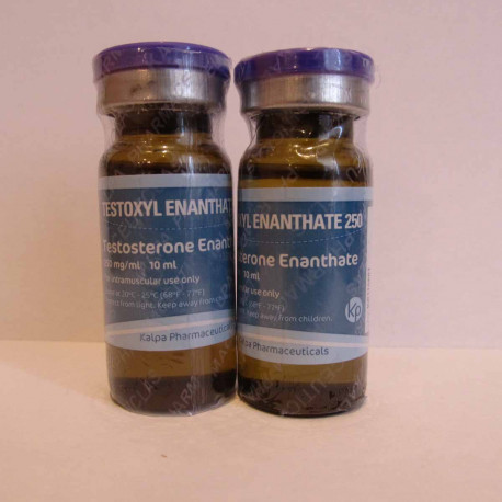 Testoxyl Enanthate 250