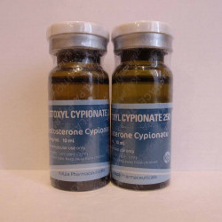 Testestoxyl | Testosterone Cypionate 250 by Kalpa Pharmaceuticals
