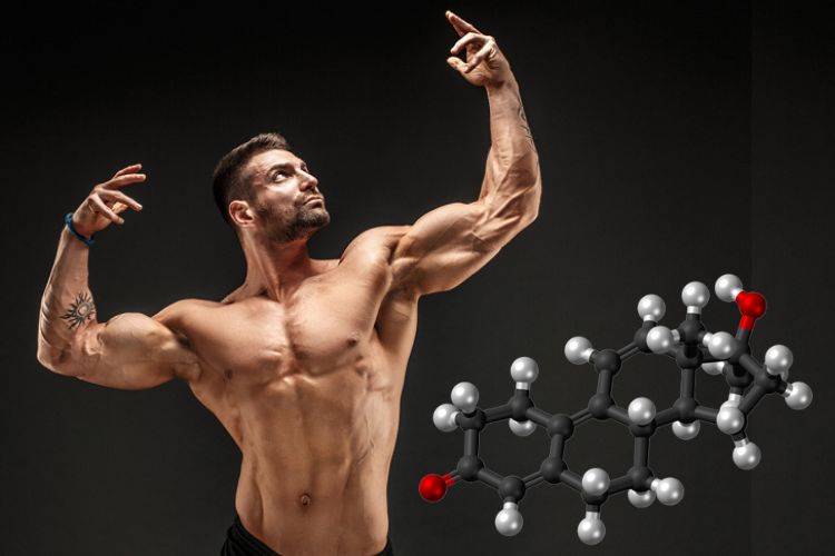 Oral Tren – The Powerful Anabolic Compound Available Worldwide