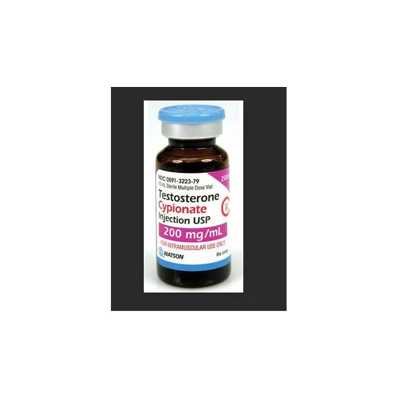 Testosterone and Body Fat: What Science Really Shows