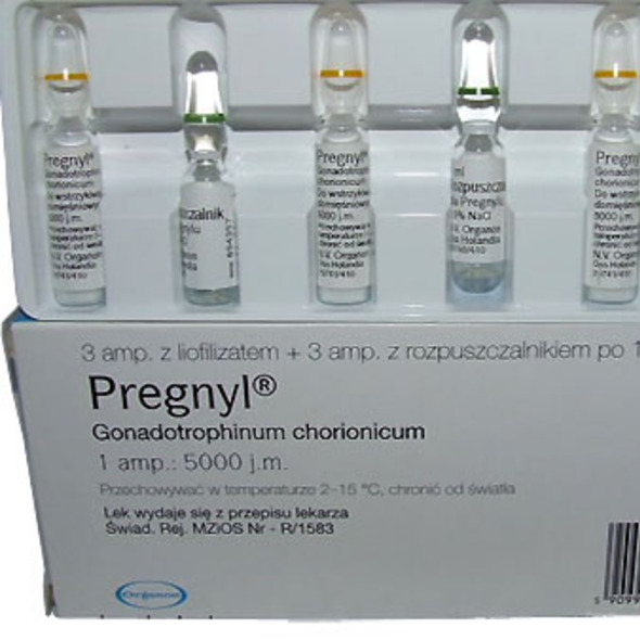 The Role of HCG in Hormonal Health: Bodybuilding and TRT